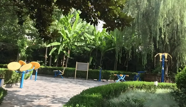 月下璃辉