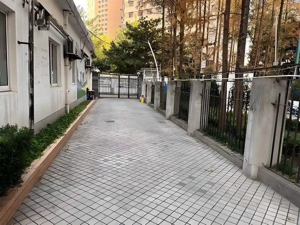 萌宠逆袭：短腿也要修成仙
